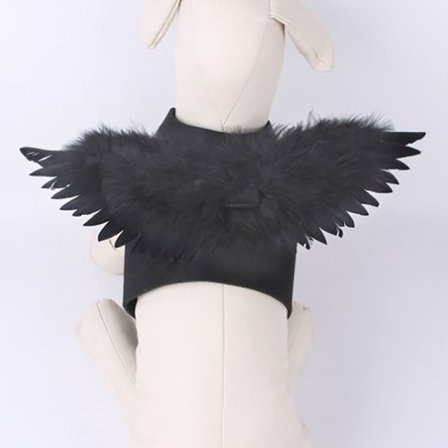 Hund & Kat Transformation Kostume Lille Hunde Udklædning