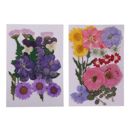 2st naturliga pressade torkade blommor blandade DIY för örhängen kvinnor fest smycken gåva
