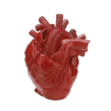 Hjerteformet Blomsterbeholder Vase Tørket Kroppsskulptur Harpiks Elegante Vaser Potter Hjemmedekorasjon-mxbc