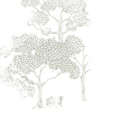 Littlephant Tapet Woodland Notes - Sage Green Tapeter Grön 53cm