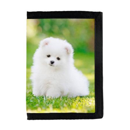 Pomeranian Valp Plånbok Multifärg One Size