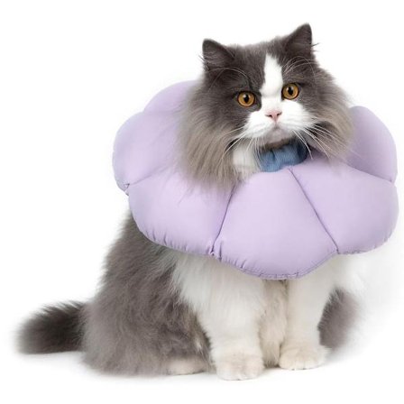 Beskyttelseskrave - Kattehalsbånd - Halsbånd - Kattegjenopprettingskrave - Kattehalsbånd - Kattehalsbånd - Beskyttelseskrave Katt - Kattekirurgikrave 