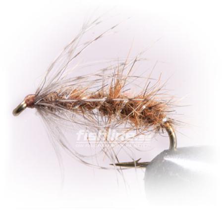 Johnsonpuppan Brown size 12