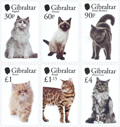 Gibraltar - Katte - Postfrisk sæt 6v