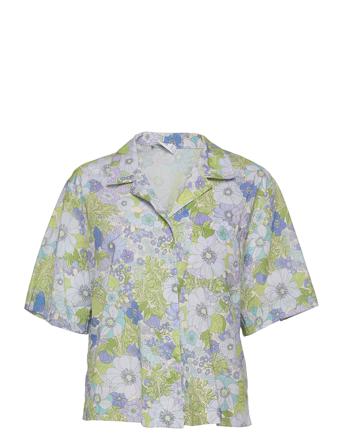 Boxa Blue Mango