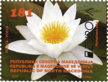 Republikken Nordmakedonien - EUROPA 2024 Undervandsfauna og -flora - Postfrisk frimærke