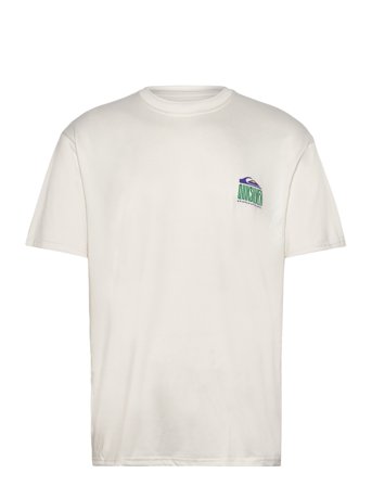 Everyday Surf Tee Ss White Quiksilver
