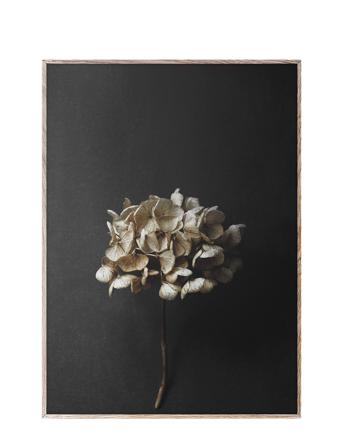 Still Life 04 70X100 Home Decoration Posters & Frames Posters Botanical Monivärinen/Kuvioitu Paper Collective