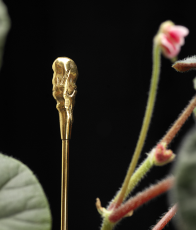 Garden Glory Blomsterpinne Organisk