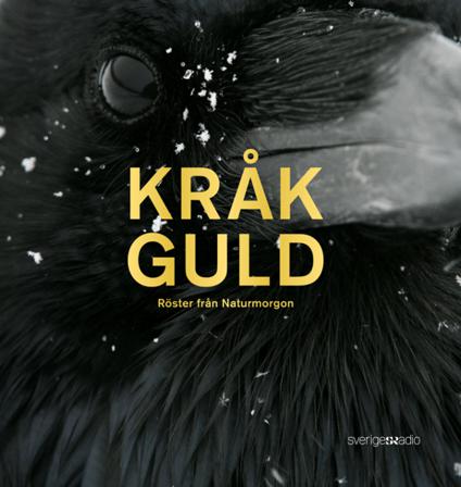 Kråkguld : röster från Naturmorgon - Bok av Zinat Pirzadeh, Erik Kohlström, m.fl. - Inbunden