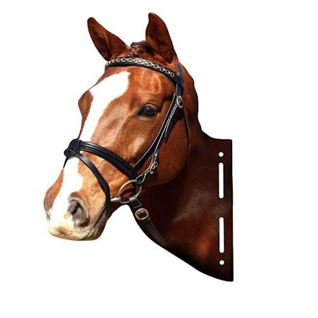 Hagepynt Hagepynt HEST HEST