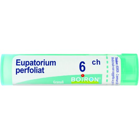 Boiron Eupatorium Perfoliatum 6Ch Tubo 80 Granuli 4g