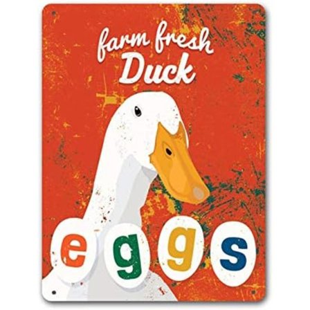 Plåtskylt Personlig Farm Fresh Ankägg Vintage 12x8ation Väggdekor Metallskyltar