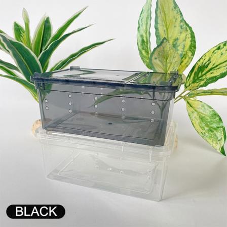 Reptiler Edderkopp Gjennomsiktig fôringsboks i plast Insektfôring Black 15*10*6.5cm