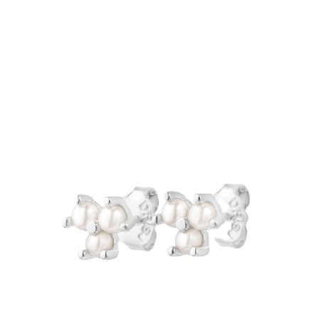 Drakenberg Sjölin Petite star pearl studs Örhängen Dam Silver ONESIZE