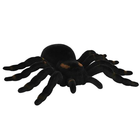 Tarantell Svart/Brun