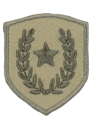 Trend-Tex Applikation Blazon Sytillbehör Brun 9 CM