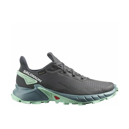 Salomon, Alphacross 4 GTX Shoes Grijs, Dames, Maat:38 EU