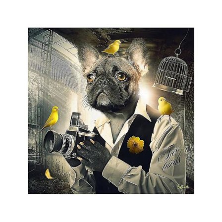 Morsom ape røyker en sigar tyggegummi plakat lerret maleri dyr hund motorsykkel veggkunst stue hjemmedekor Cuadros Fingerferdighetsspill