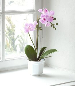 Konstväxt Orkidé 45cm Rosa - Mr Plant