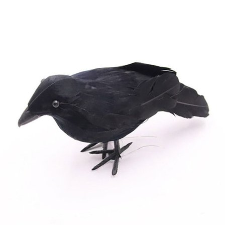 Keinotekoiset Crows Feathered Raven DIRECT LOOK DIRECT LOOK