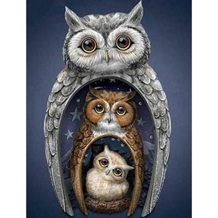 30 x 40 cm, pöllön timanttimaalaus timanttikirjonta maalauskanvas