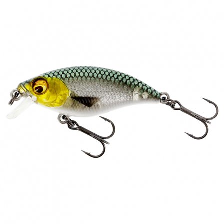 Westin BuzzBite SR Crankbait 5cm 6g Low Floating - 3D Headlight