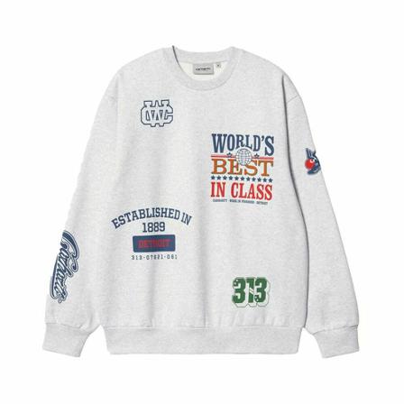 Carhartt Wip Sweatshirts Hoodies Grå, Herre