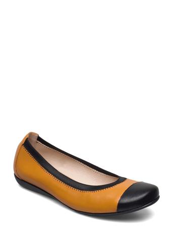 A-4723 Yellow Wonders