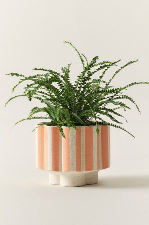 Jotex - Stripe Potte Aprikos/naturhvit - SIGFRID - Kjøp Krukker hos Jotex