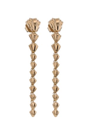 The long shell earrings