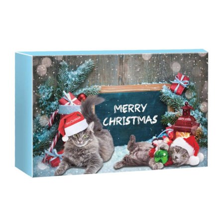 Kissan joulukalenteri 24 päivää hauskoja leluja ja herkkuja kissoille, interaktiivisia kissanminttuleluja, täydellinen lahja kissan ystäville