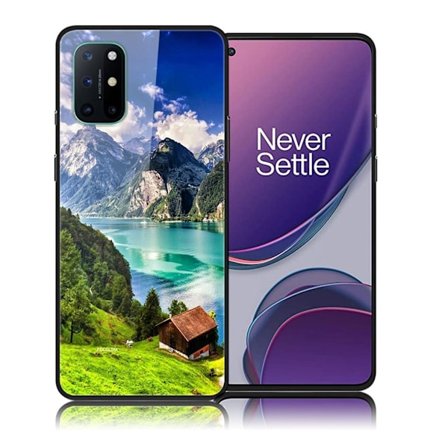 Fantasy OnePlus 8T skal - Hus