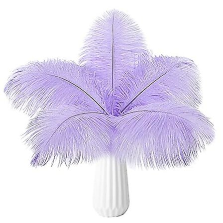 10 st strutsfjädrar naturlig bulk