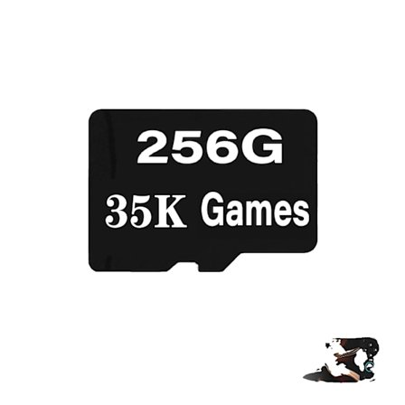 Retroid Pocket 5 Minneskort, 128G, 256G Alternativ,256G minneskort
