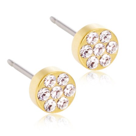 Blomdahl Örhängen Golden Titanium Brilliance Plenary 5mm Crystal