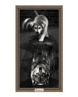 Diamond painting Reflexion