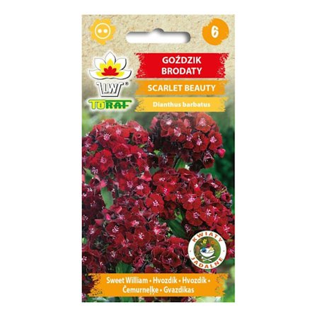 Scarlet Beauty - Helppo kasvattaa ja tuoksuva monivuotinen kasvi