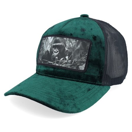 Calza Pennello - Groen trucker Cap - Gorilla Big Patch Velvet Green/Black Trucker @ Hatstore