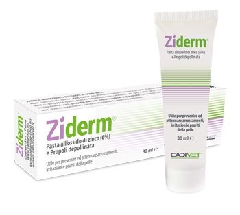 Ziderm Pasta All'Ossido Di Zinco 30ml