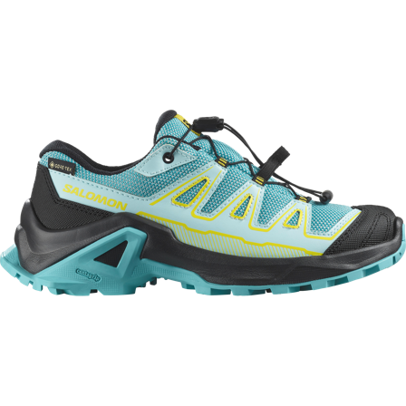 Salomon - Kinderschuhe X Ultra Gtx J - Blue Curacao / Turbulence - 39