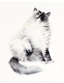 Billede Micky - Luca-S