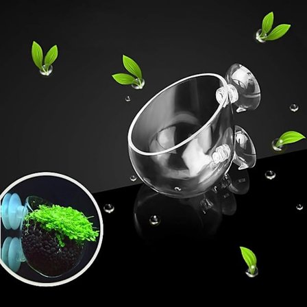 Akvarieplantepotte, Glasfisketank Planteholder Akvarieplanter, Akvariedekoration Planter Kop med 2 Sugeskopper til Akvarium Dekoration Eller