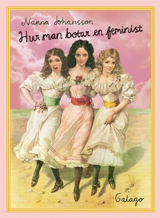 Hur man botar en feminist - Bok av Nanna Johansson - Danskt band