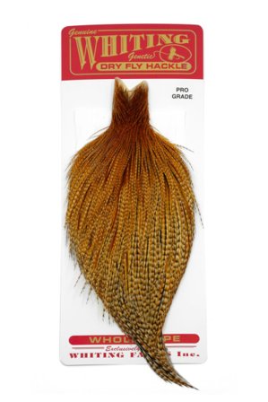 Whiting Silver Cape Barred Dark Ginger