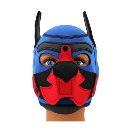 Puppy Fox Neoprene Hood Blue-Red