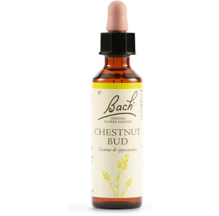 Chestnut Bud Bach Original Flower Essences 20ml