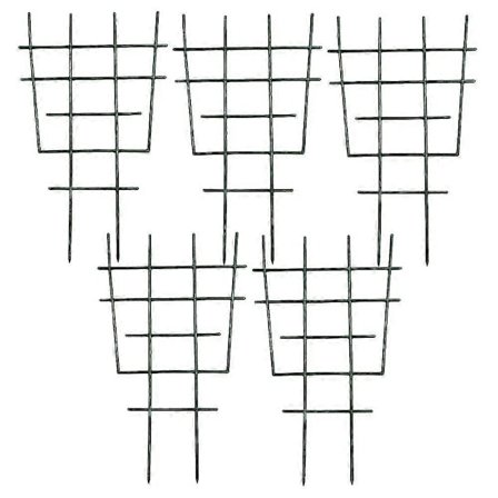 5 stk. En Plante Klatrestativ D Vinstok Beslag Blomst H Klatreplante Til