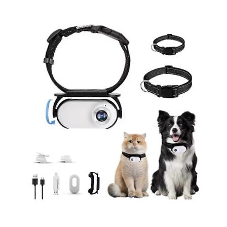 Catcam Pro, Katt Cam Pro 2.0, HD 1080p Videokamera Mini Pantaan Kamera - Täydellinen