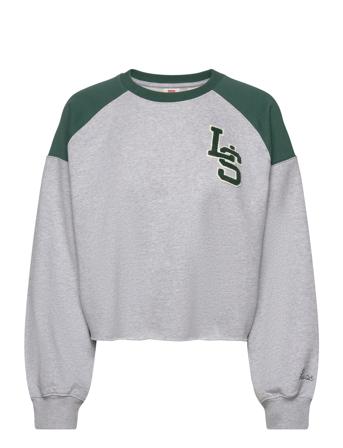 Graphic Campout Crew Ls Monogr Tops Sweat-shirts & Hoodies Sweat-shirts Grey LEVI ́S Women
